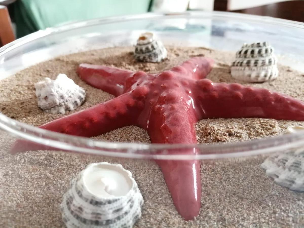 Casa Amaranto Lägenhet Terrasini Exteriör bild